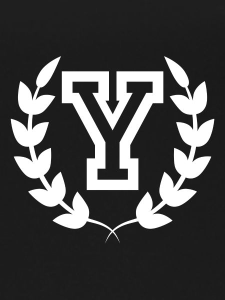 Letter y sport