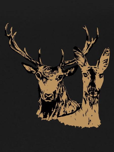Deer and doe