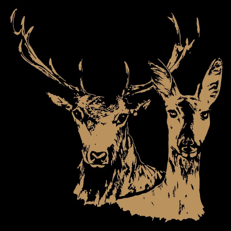 Cerfs et biche