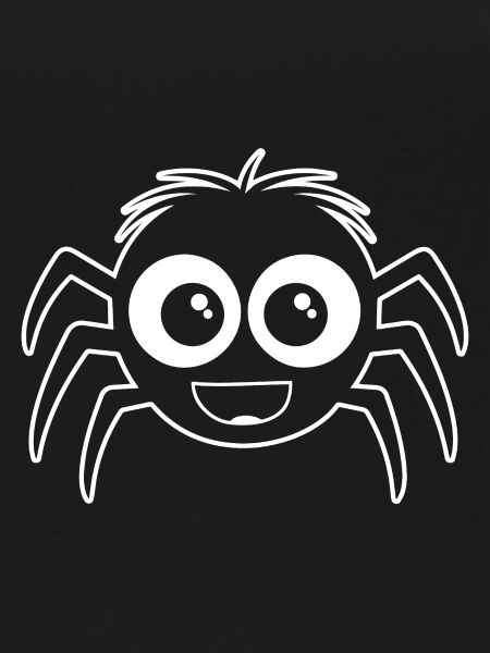 Araignée araignées animaux