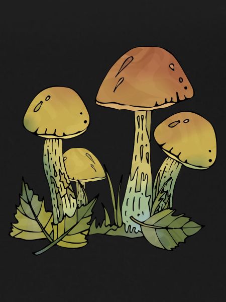 Pilze