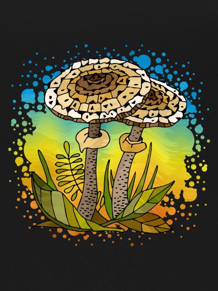 Fungi