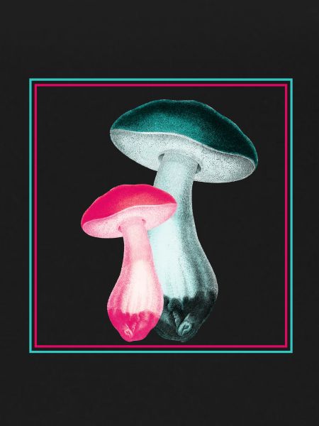Mushrooms