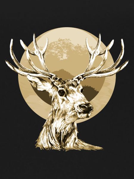 Hirsch