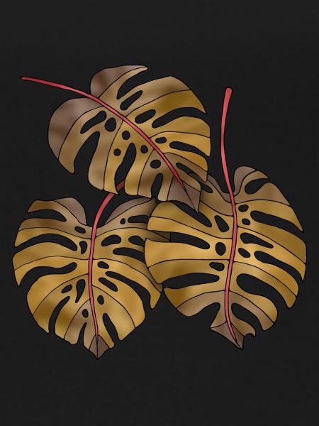 leaves