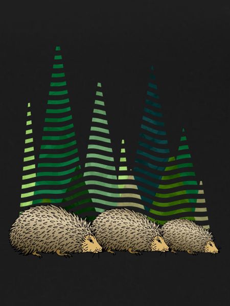 Hedgehogs
