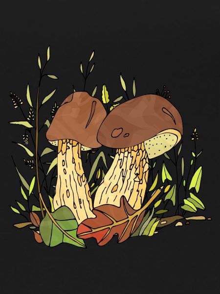Fungi
