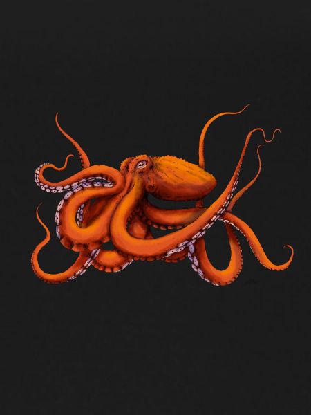 GIANT PACIFIC OCTOPUS