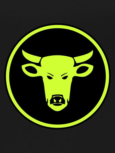 Cow Beef