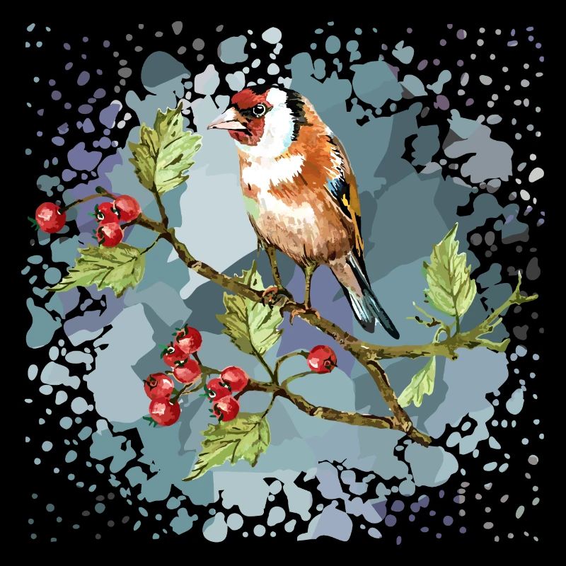 Oiseau coloré