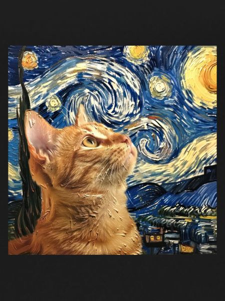 Chat, Motif De Chat