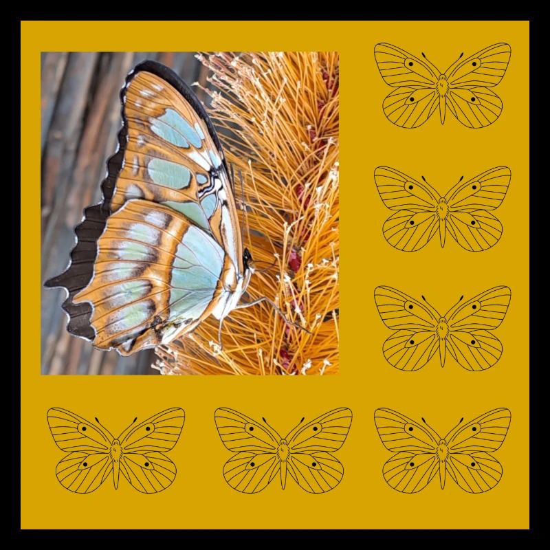 Schmetterling