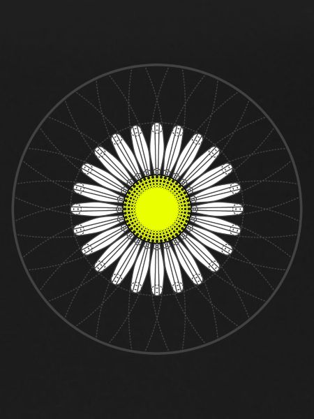 Gänseblümchen - Dunkel