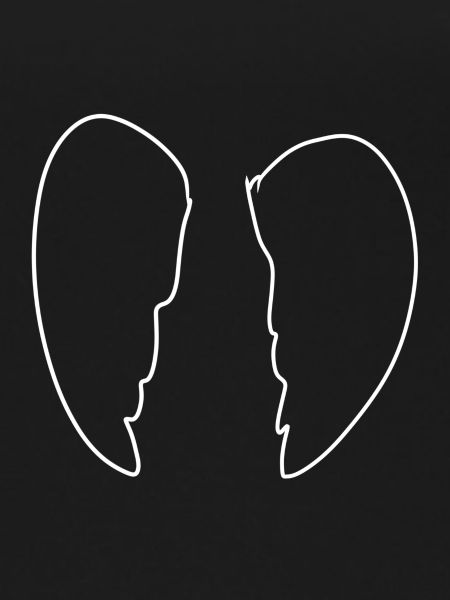 Wings Angel Icon