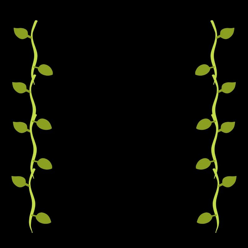 Leaves Line Nature Leaf Branches
