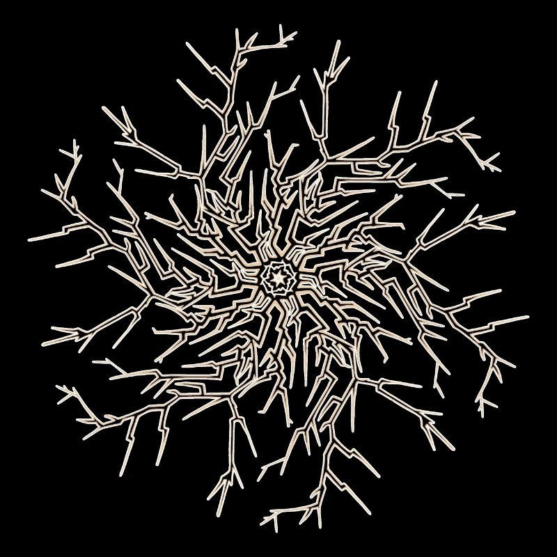 Soleil Arbre