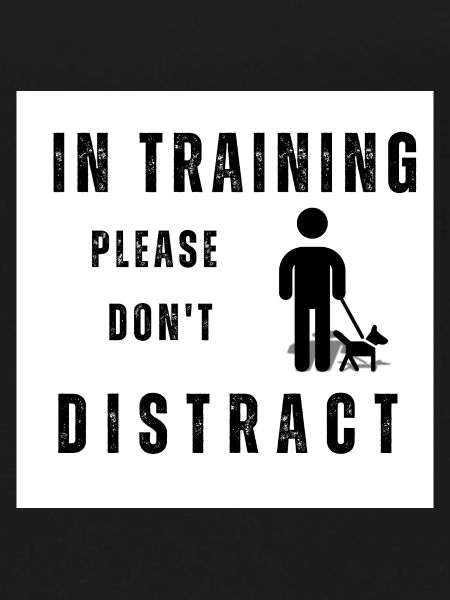 Dog training