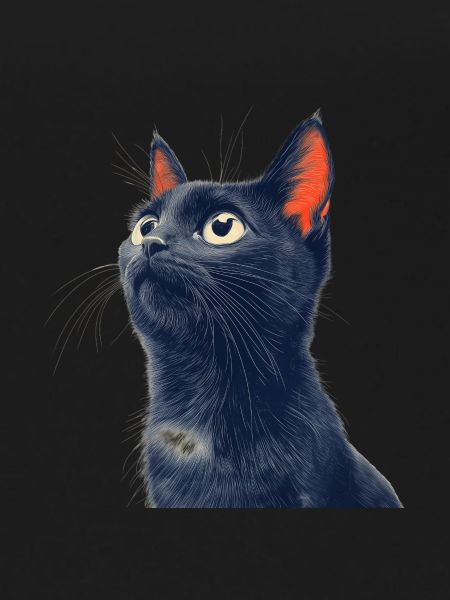 Cute Black Cat
