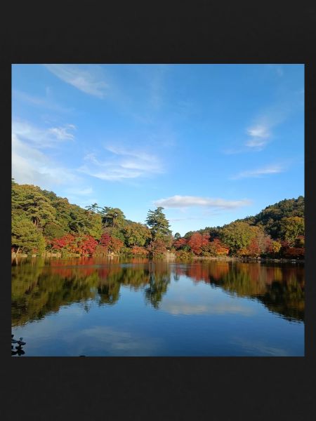 Lake view