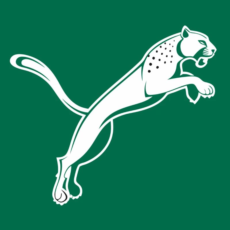 Leaping Leopard