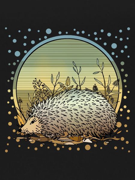 Hedgehog