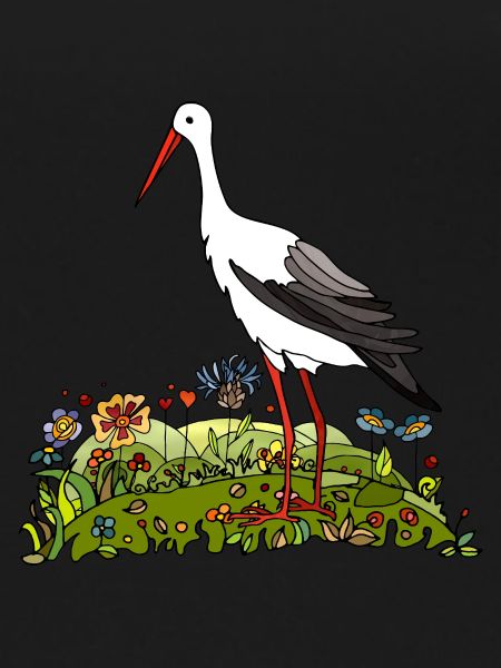 Stork bird