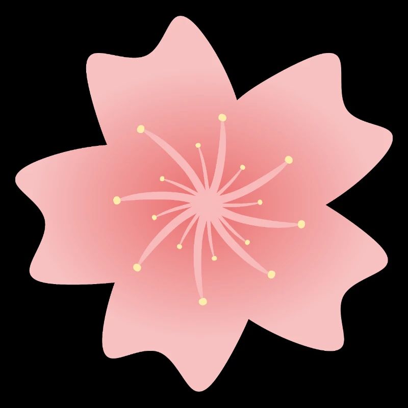Rosa Sakura Blume