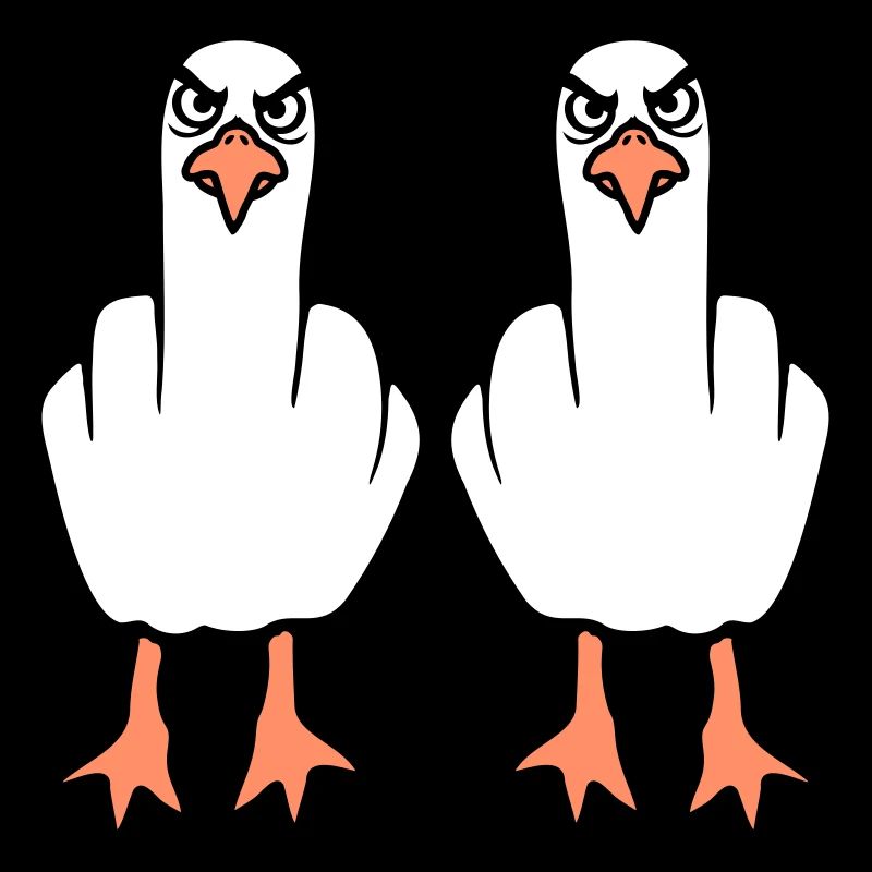 2 Möwen Mittelfinger Beleidigung Stinkefinger Team