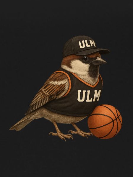 Ulmer Spatzen Basketball