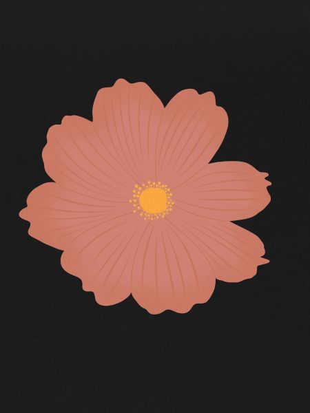 Pink Flower