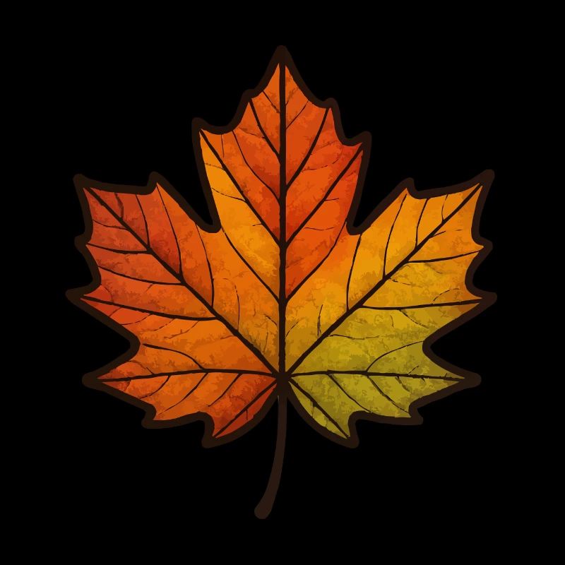 Leaf Autumn Maple Leaf