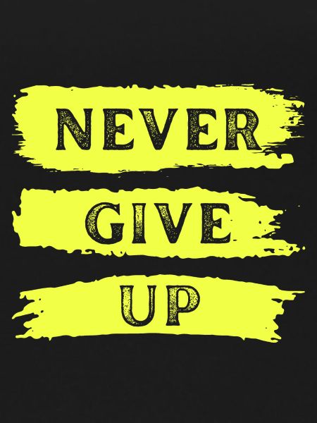 Never Give Up 2
