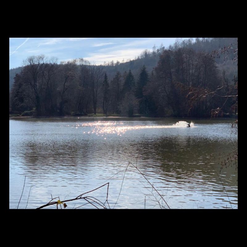 wasser nature