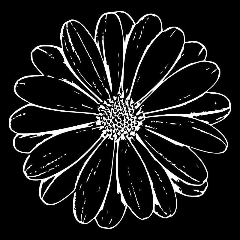 Fleur Blanche Fleurs Blanches Fleurs Blanches Fleurs Blanches