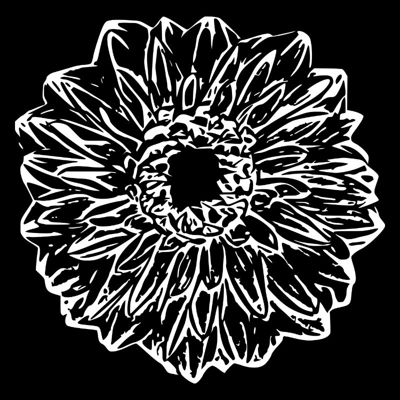 Fleur, Blanc, Fleur Blanche