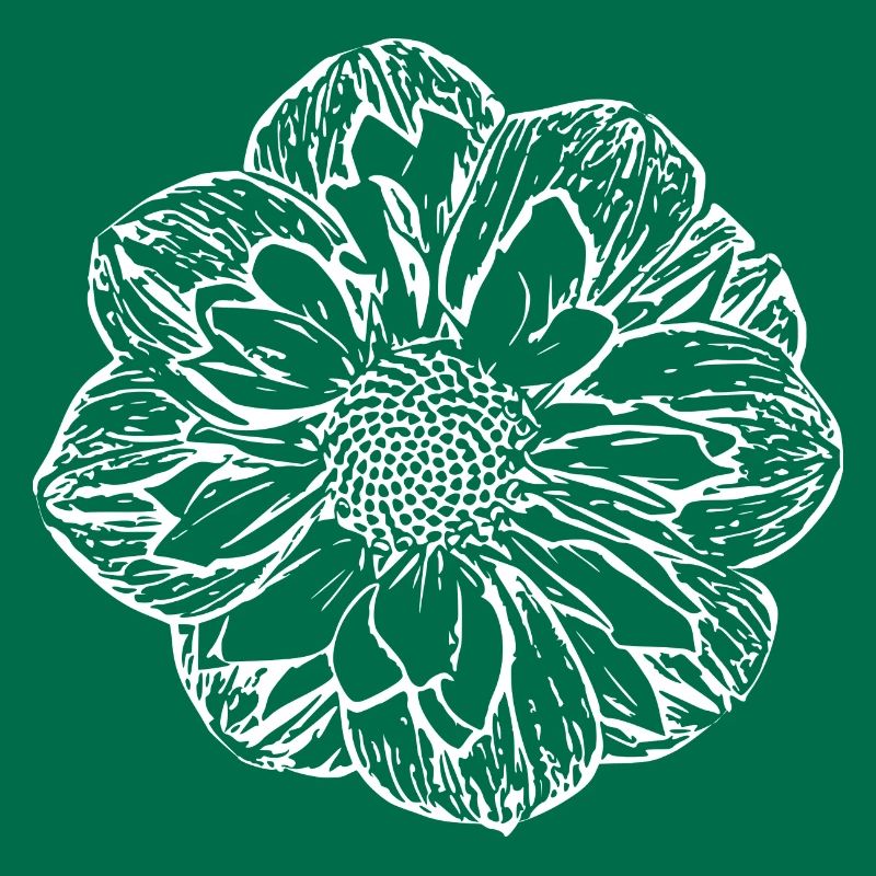 Fleur, Blanc, Fleur Blanche