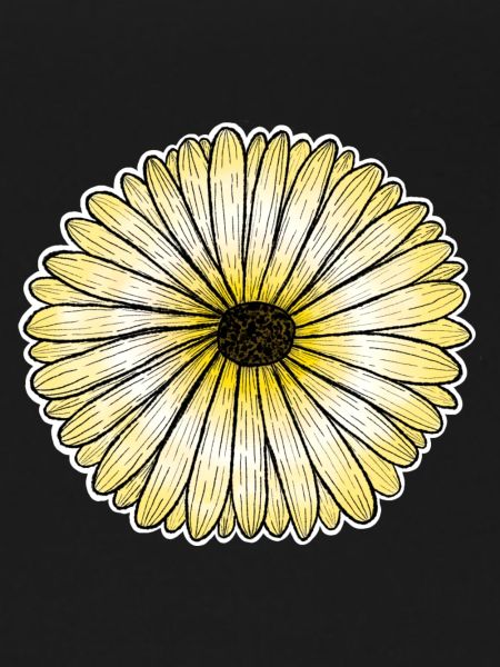 Yellow daisy