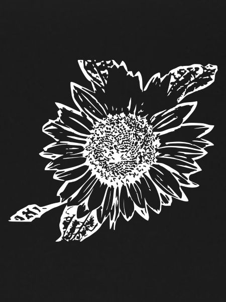 Sunflower white