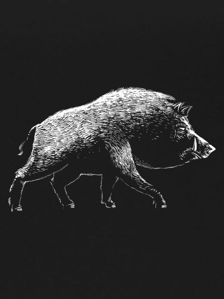 Wild boar