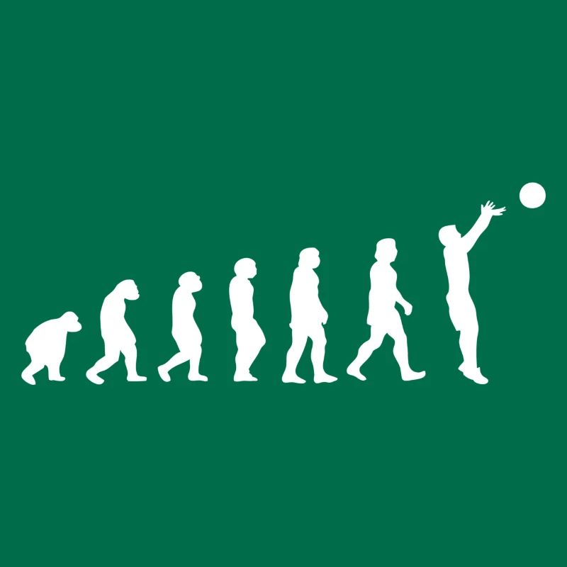 Basket évolution