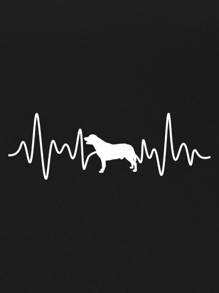 Labrador Heartbeat