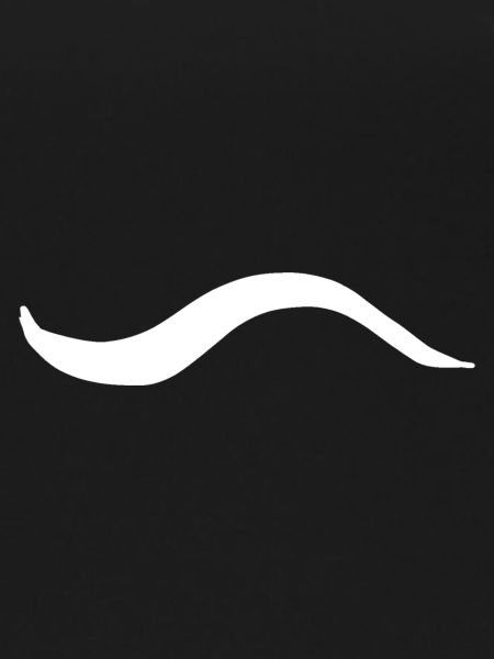 Wave Line Icon