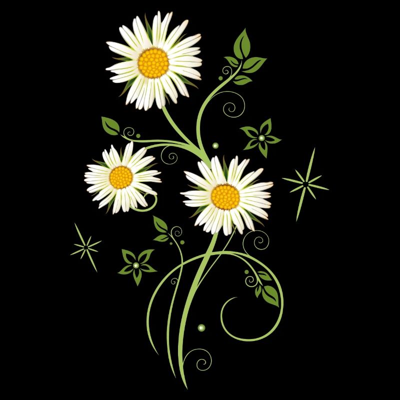 Daisies Wildflowers Summer
