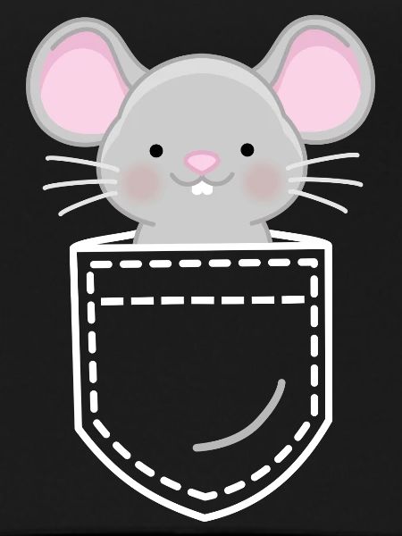 Souris Souris