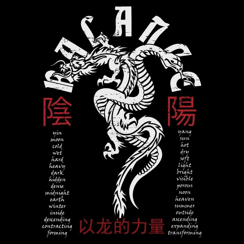 Chinesischer Drache und Schlange