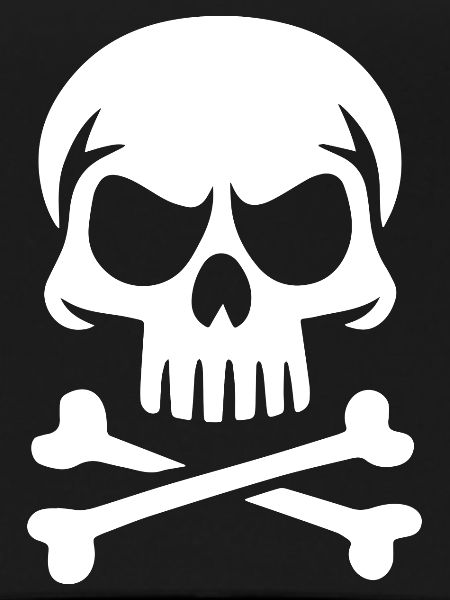 Sapiens Skull
