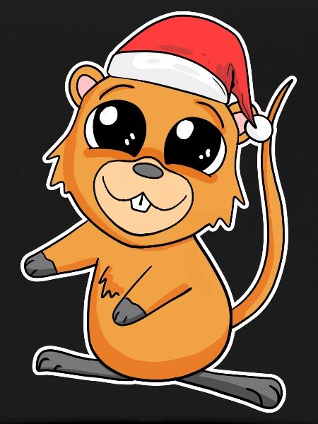Cochon d’Inde Noël