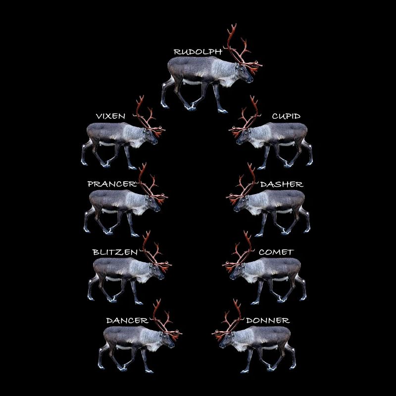 Frosty Reindeer Collection for Winters