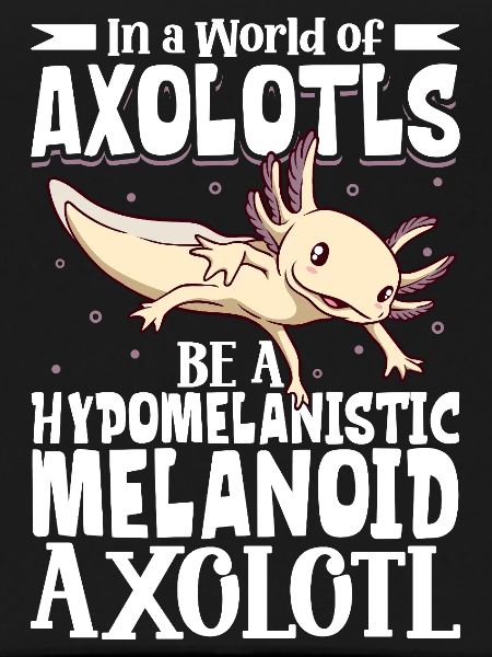 Be a Hypomelanistic melanoid Axolotl