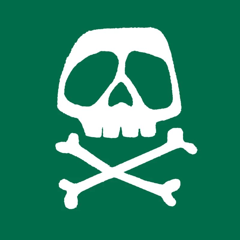 Skull Cross Pattern